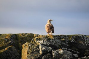 IMG_3163