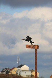 IMG_3186