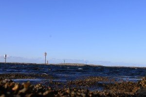 IMG_3285
