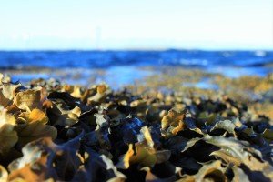 IMG_3287
