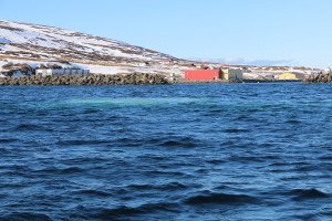 IMG_5284