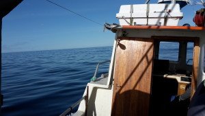 20160504_174931