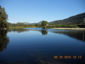 DSCN0226