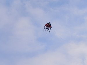 DSCN0570