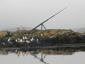 DSCN0631