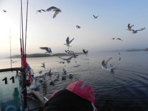 DSCN0632