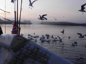 DSCN0633