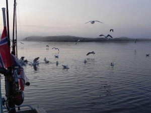DSCN0634
