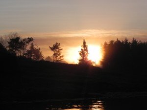 DSCN0636