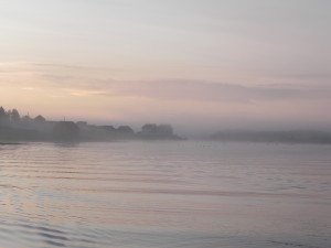 DSCN0641