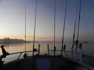 DSCN0642