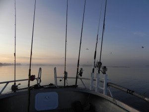 DSCN0643
