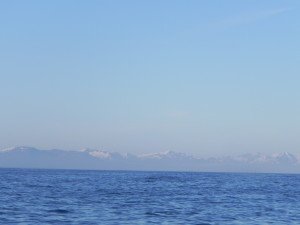 DSCN0650