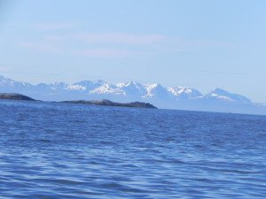 DSCN0661