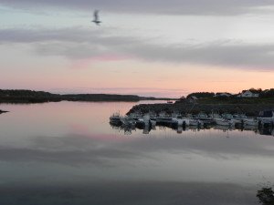 DSCN0670