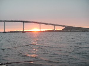 DSCN1753