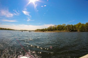 IMG_0074