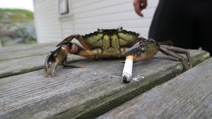 IMG_0136