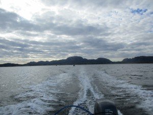 IMG_0242 (1024x768)