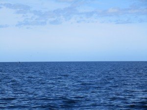 IMG_0244 (1024x768)