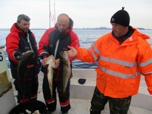 IMG_0304 (1024x768) (2)