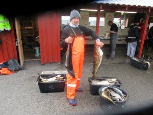 IMG_0313 (1024x768)