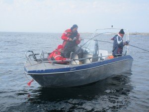 IMG_0351 (1024x768)