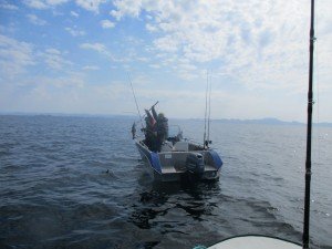 IMG_0362 (1024x768)