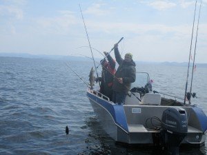 IMG_0363 (1024x768)