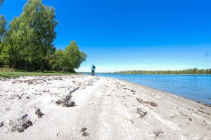 IMG_0425