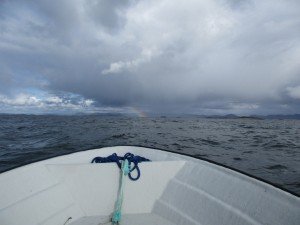 IMG_0443 (1024x768)