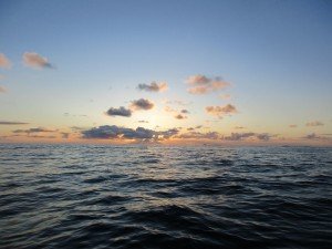 IMG_0494 (1024x768)