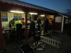 IMG_0495 (1024x768)