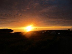 IMG_0534 (1024x768)