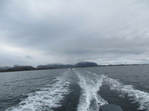 IMG_0554 (1280x960)