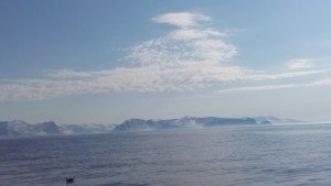 IMG_20160502_154917
