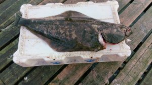 IMG_20160503_190955