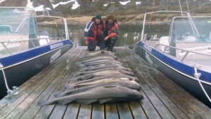 IMG_20160506_183750