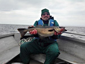 IMG_20160508_121837_1