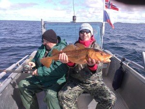 IMG_20160515_120757