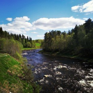 IMG_20160528_111603