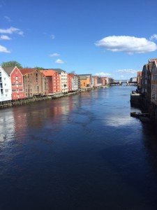 IMG_2587 (480x640)