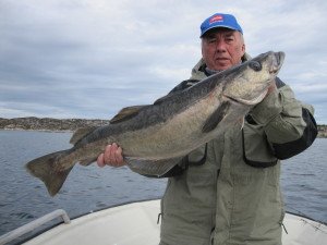 IMG_3690