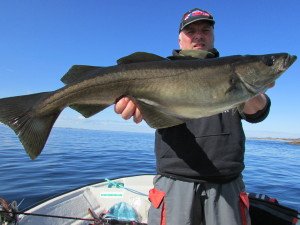 IMG_4276
