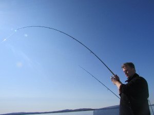 IMG_4509