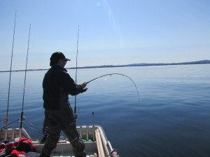 IMG_4522