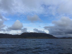 IMG_5100 (1024x768)
