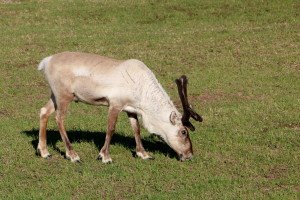 IMG_5784