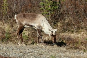 IMG_5793