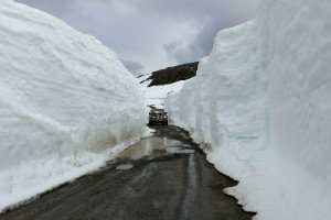 IMG_5837